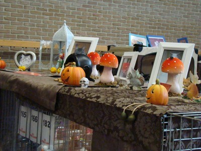 20121021_148 (Expo)